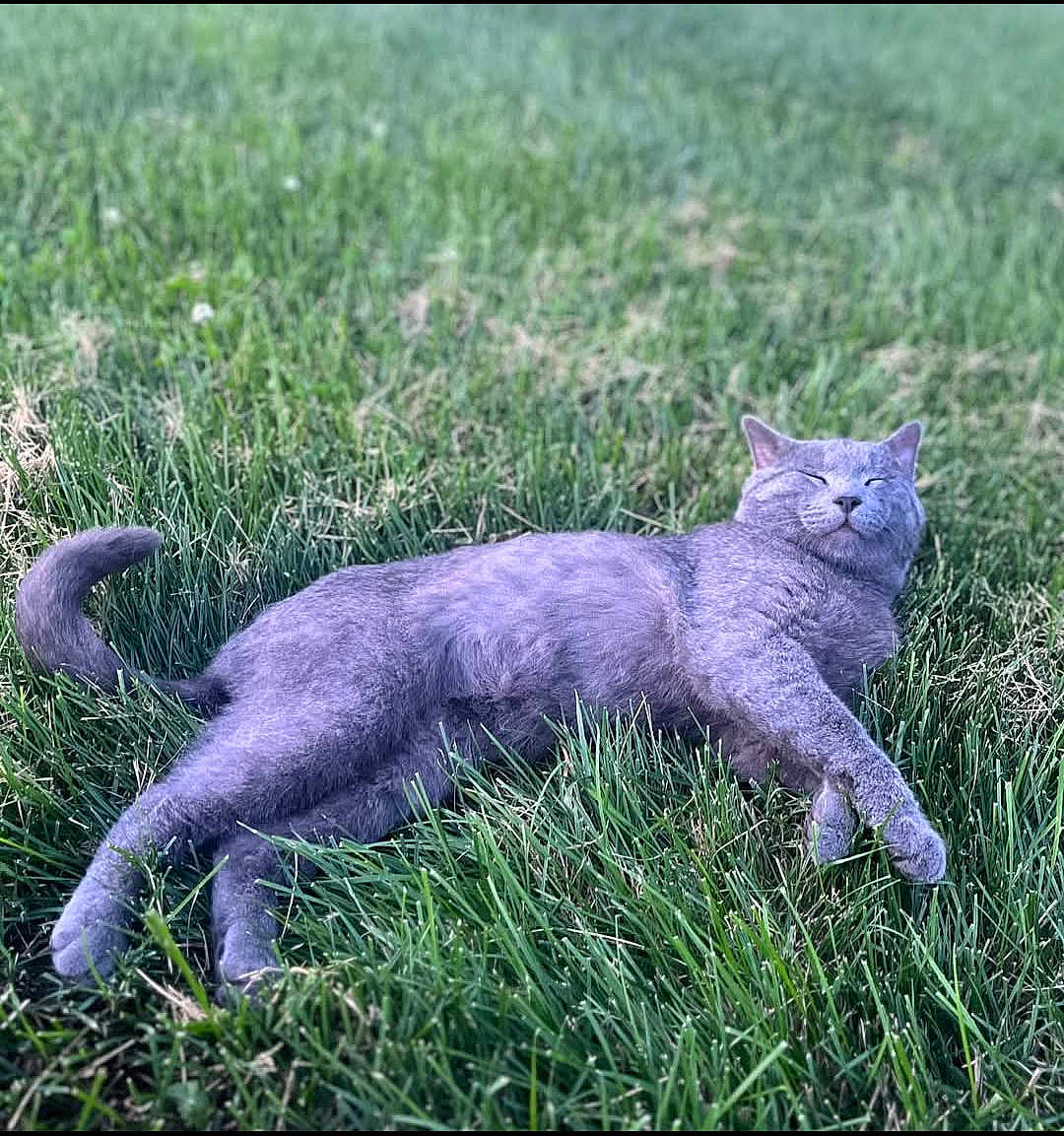 Remington