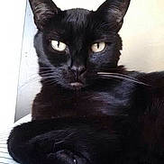 Jax is registered to the contest to win money with this photo: