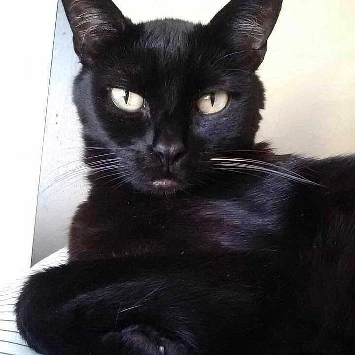 Jax