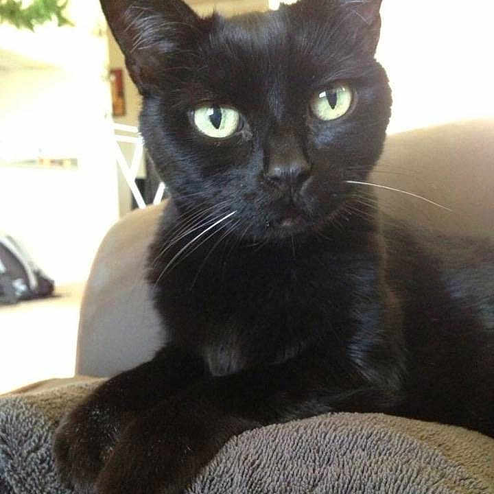 Jax