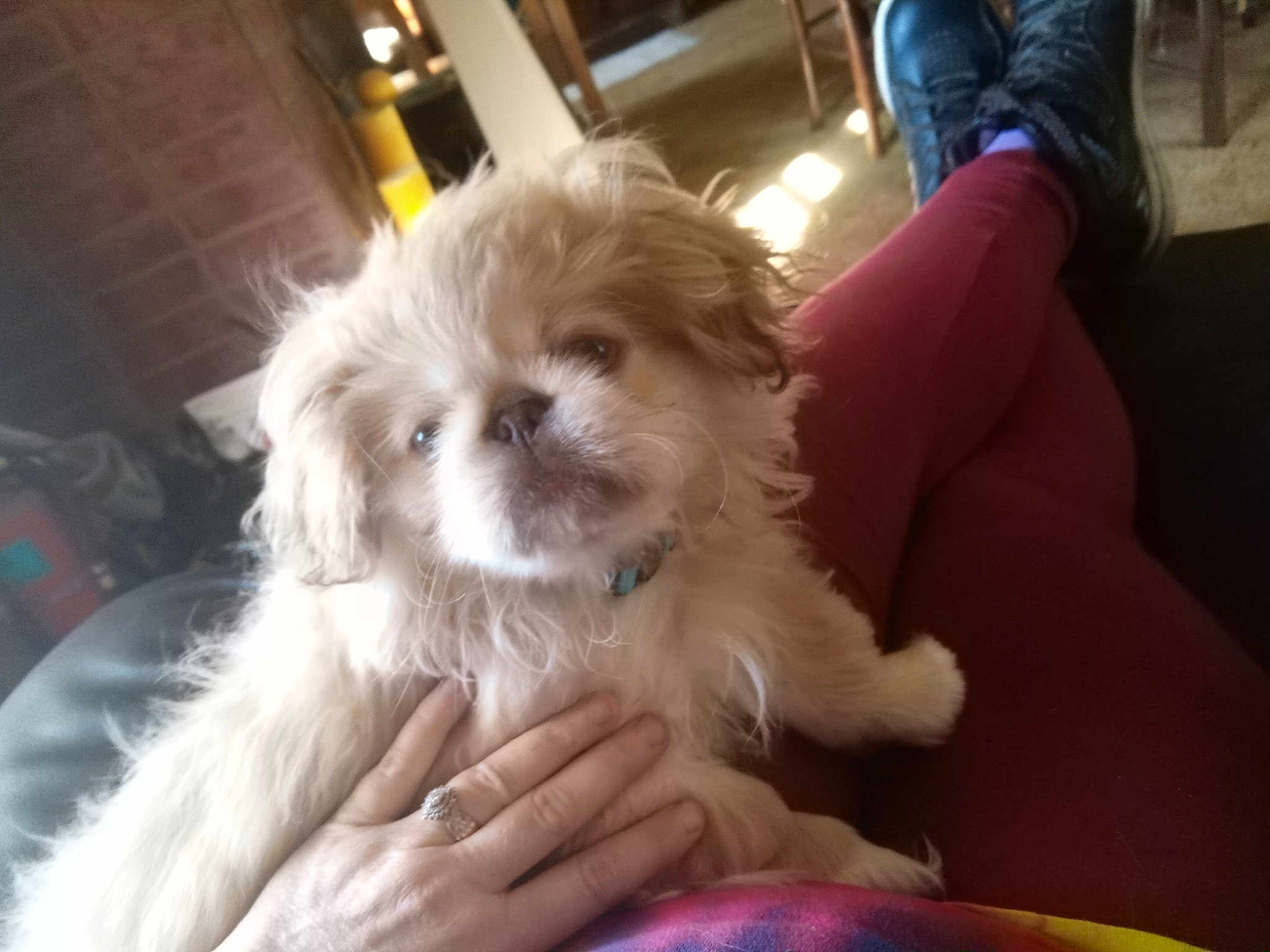 Leo