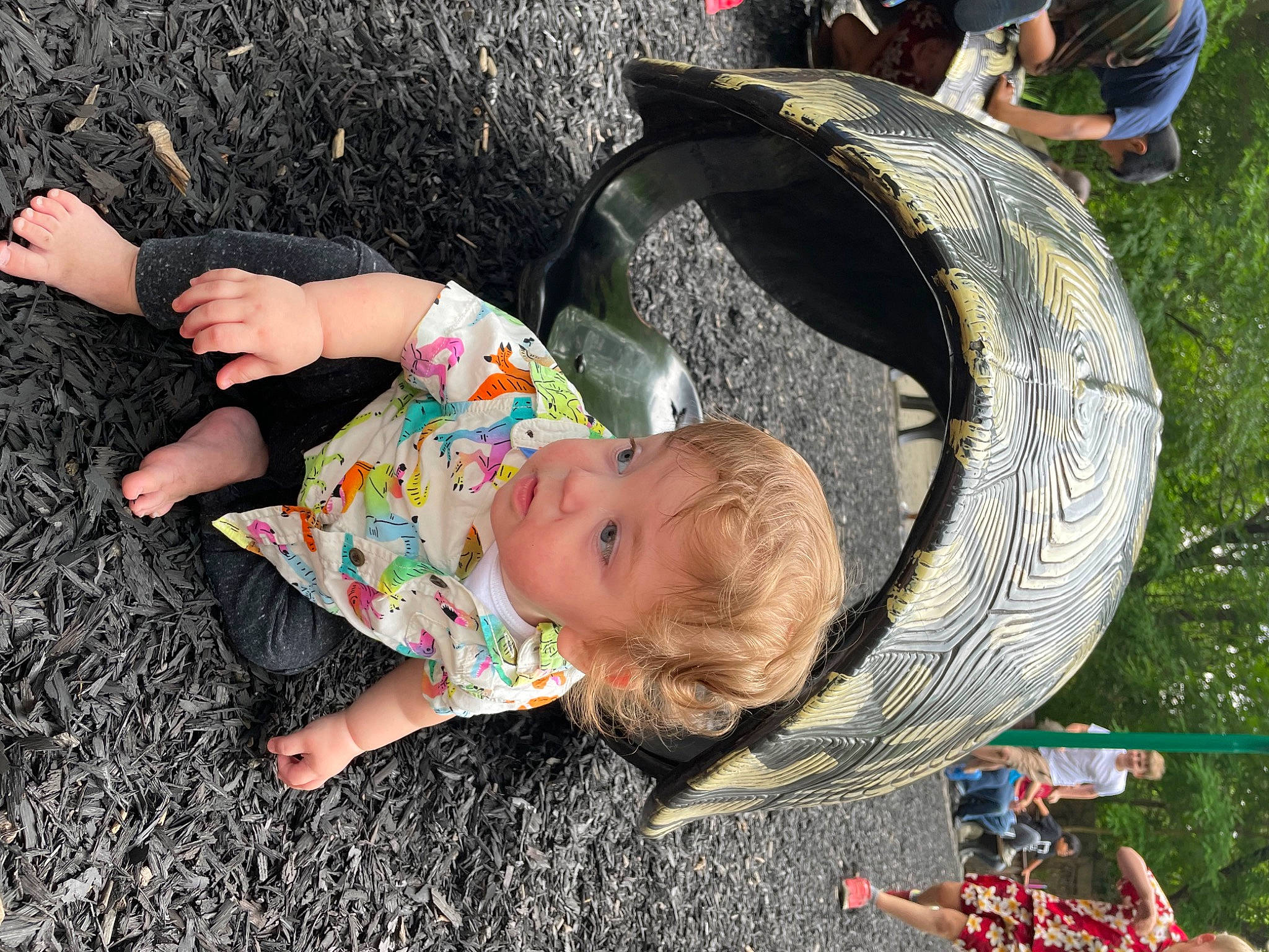Westley joined the competition — help win amazing prizes! baby, baby_products, baby_toddler_clothing, blurred, child, foot, fun, grass, joy, leisure, people_in_nature, person, plant, play, recreation, sitting, soil, toddler, tree, vacation