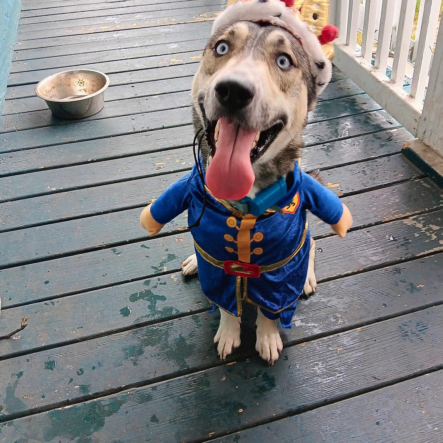 Rex