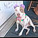 Taffy