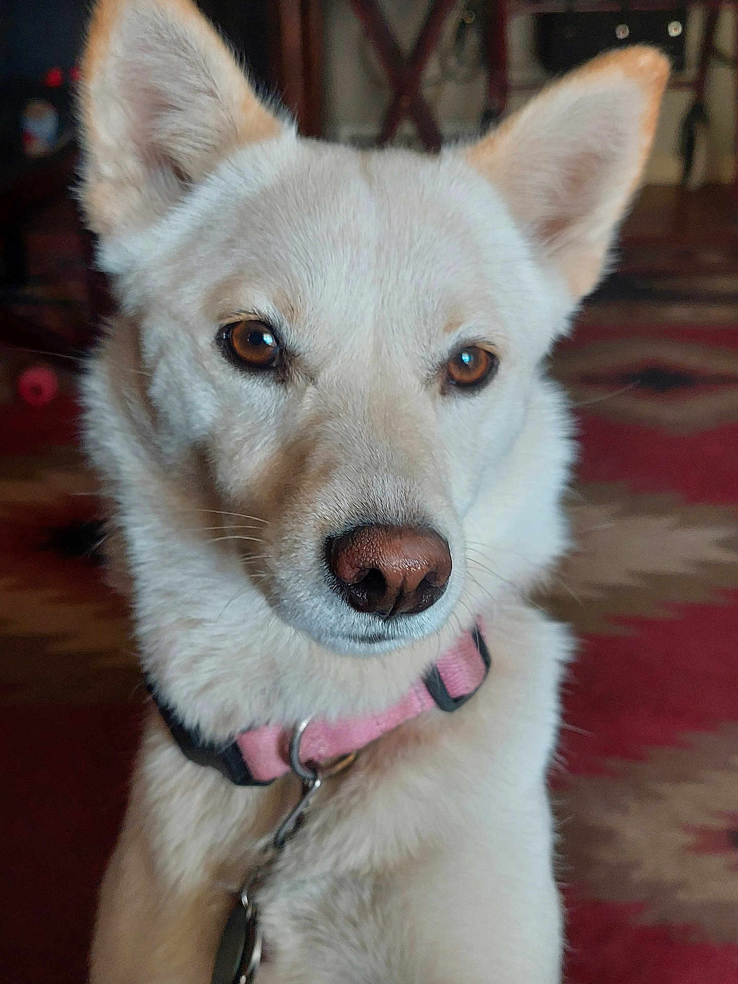 Willow