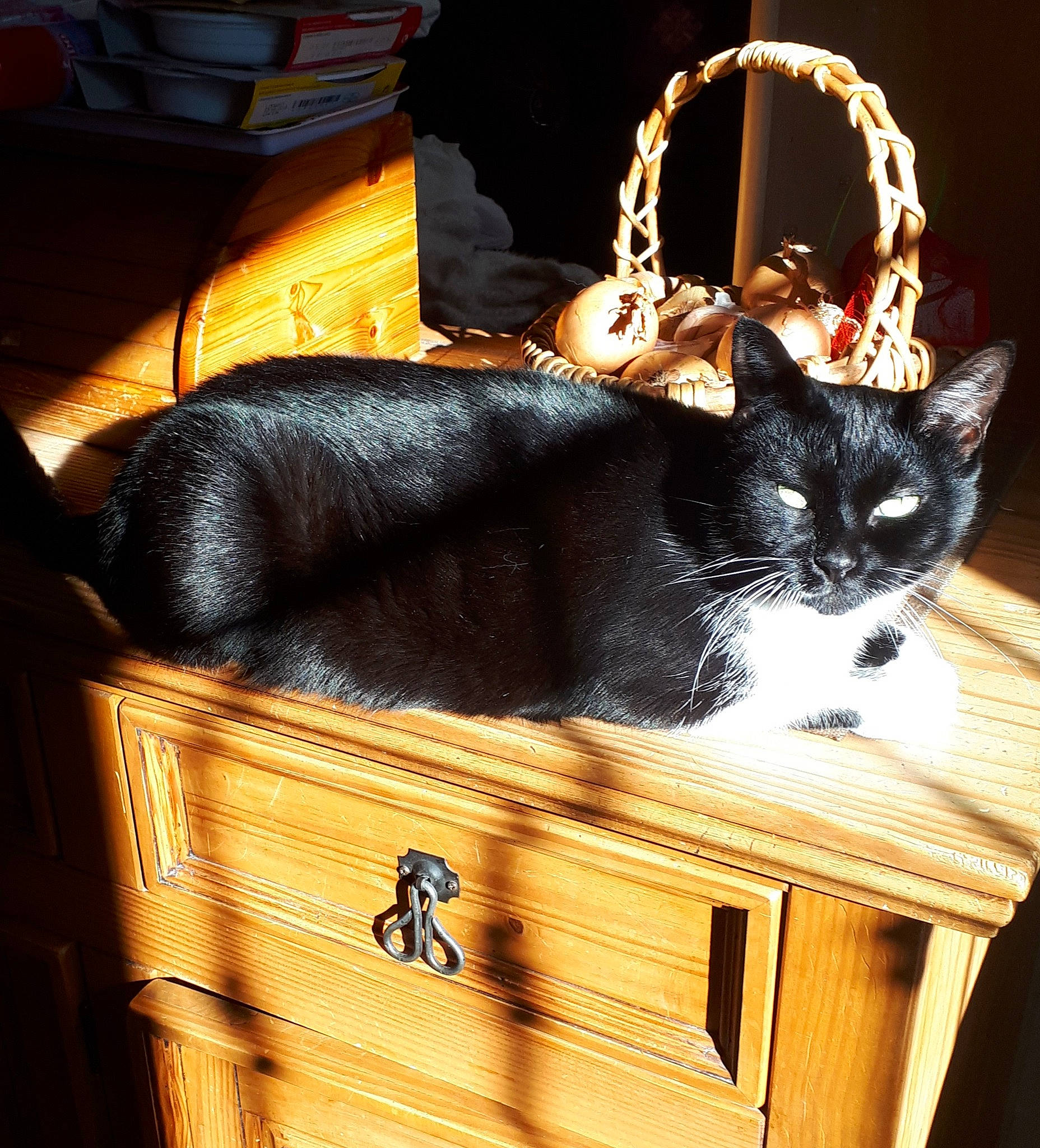 Pepete participe au concours pour gagner de l'argent avec cette photo : bag, basket, black_cat, box, carnivore, cat, cat_supply, domestic_short_haired_cat, fashion_accessory, felidae, fur, light, luggage_and_bags, pet_supply, small_to_medium_sized_cats, snout, tail, whiskers, wicker, wood