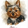 adorable, animal, black, brown, cute, digital_art, dog, ears, face, fluffy, fur, illustration, name, painting, pet_portrait, sentimental, small_dog, text, watercolor_background, yorkshire_terrier