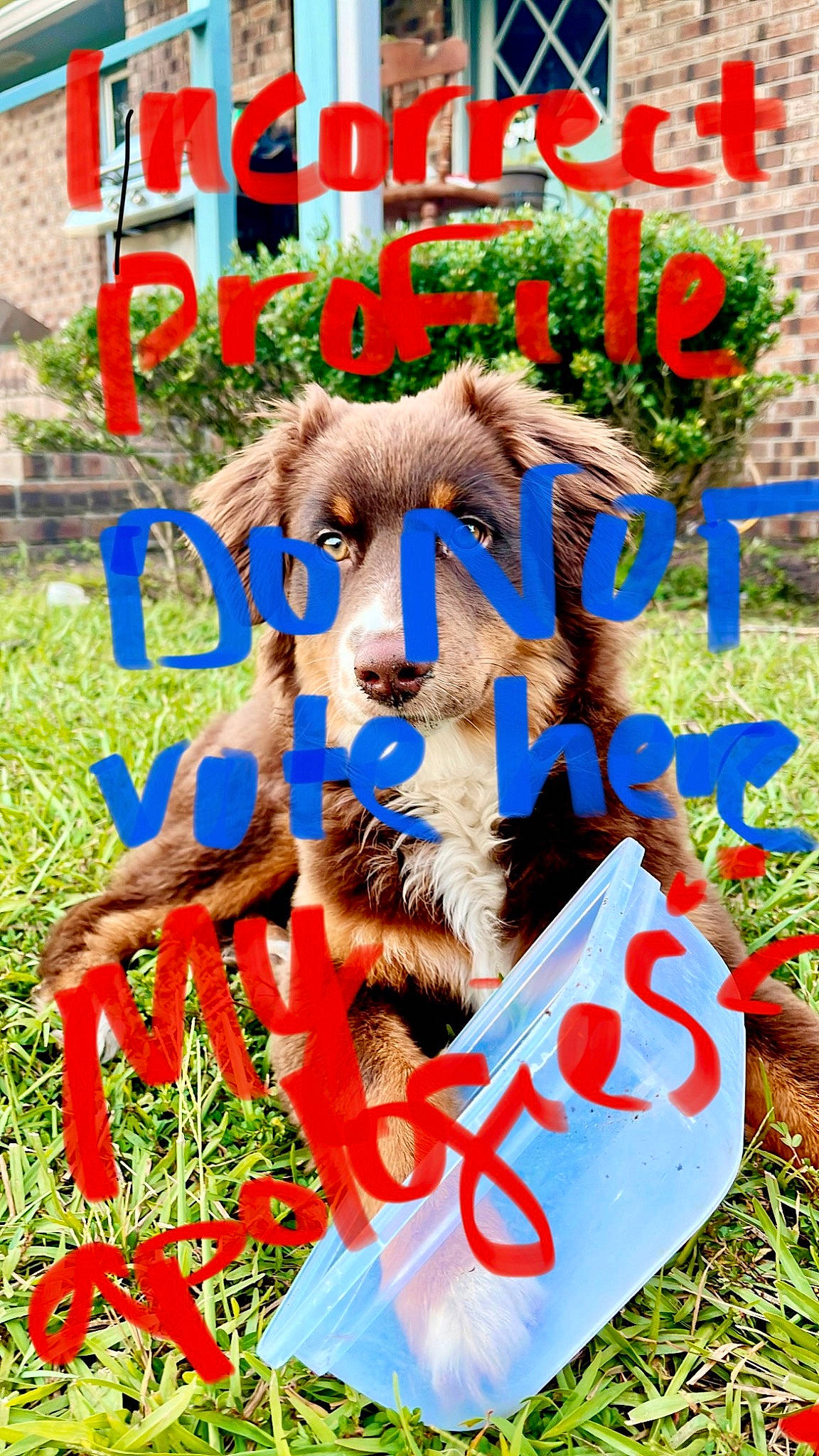 Lizzie joined the competition — help win amazing prizes! advertising, banner, event, font, grass, happy, photo_caption, plant, pole, poster, public_event, summer, terrestrial_animal, wildlife, working_animal