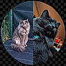 cat, cats, feline, fluffy, long_hair, black_cat, gray_cat, pet, animal, portrait, split_screen, circular_crop, collage, indoor, outdoor, sitting, looking_at_camera, fur, whiskers, photo_editing