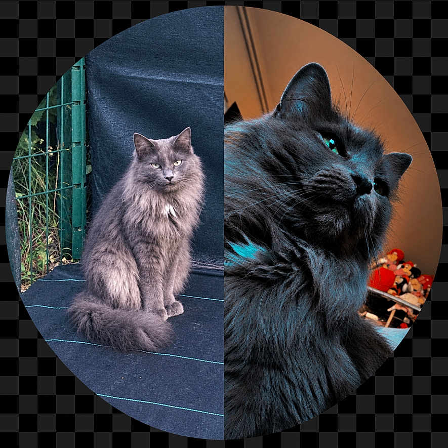 Samba