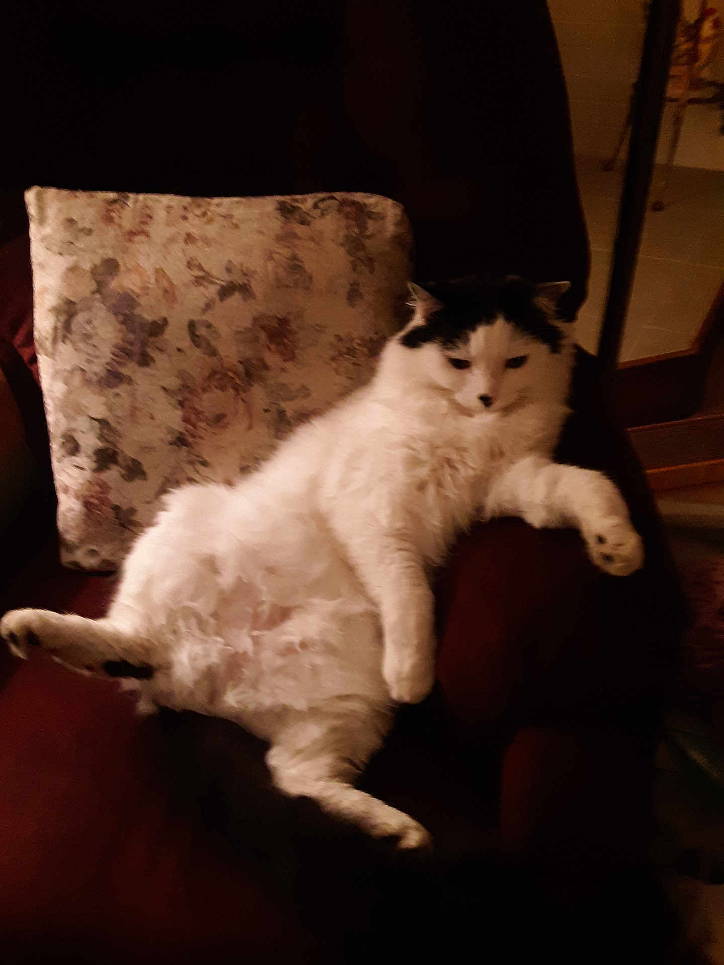 Mr Snickers