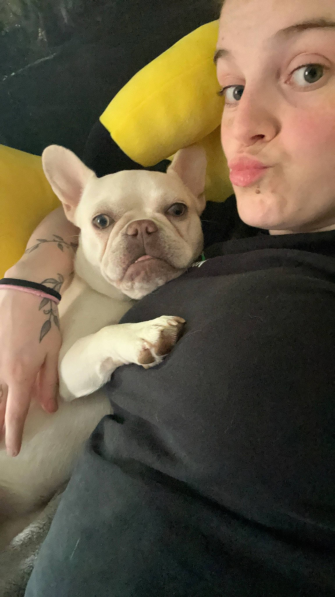 Ila joined the competition — help win amazing prizes! bulldog, canidae, carnivore, comfort, companion_dog, dog, dog_breed, ear, eye, fawn, happy, head, nose, skin, snout, sporting_group, terrestrial_animal, toy_dog, whiskers, working_animal