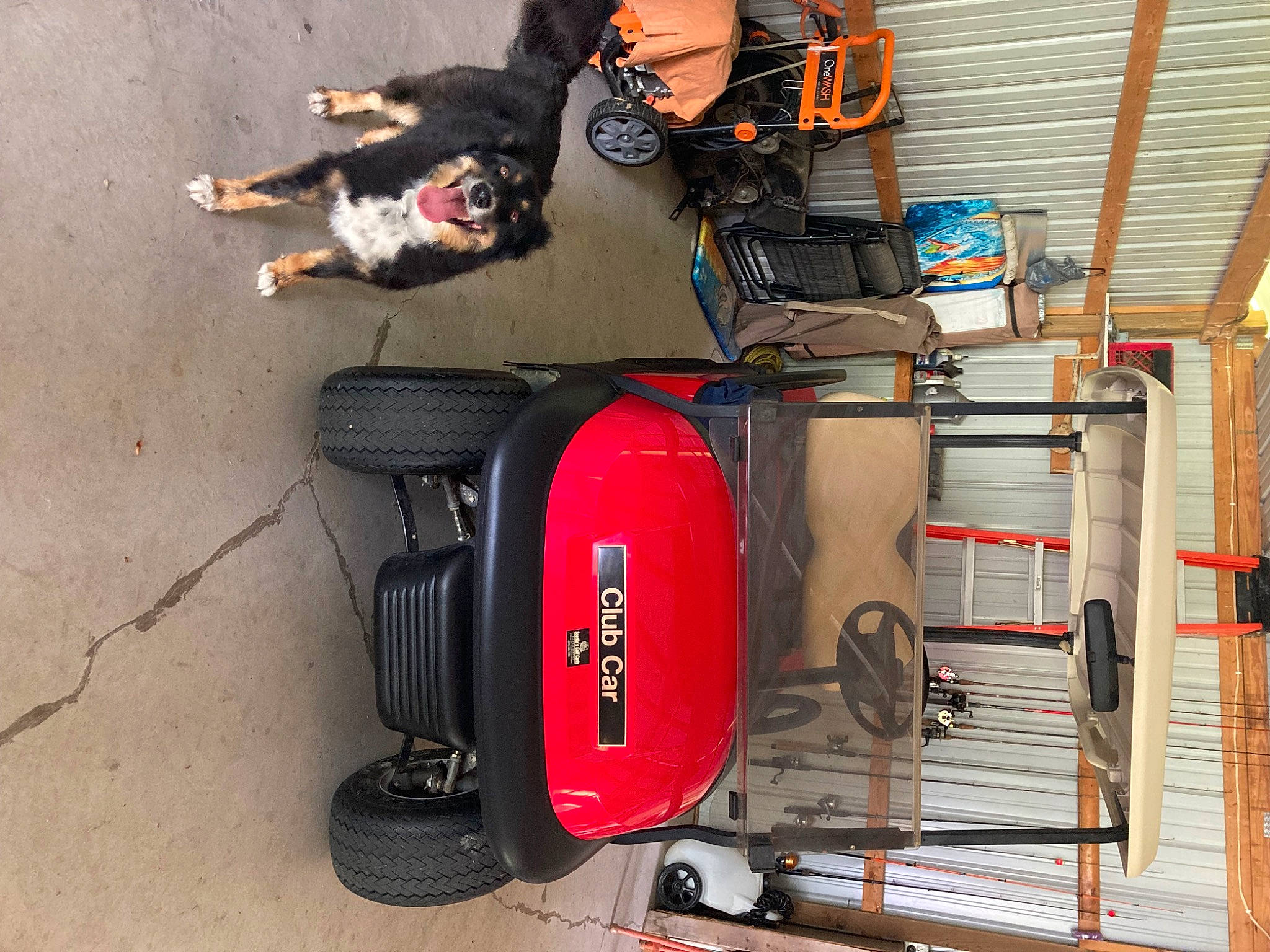 Sawyer joined the competition — help win amazing prizes! auto_part, automotive_design, automotive_exterior, automotive_lighting, automotive_tire, backpack, bag, bumper, carnivore, dog, drum, fender, gas, luggage_and_bags, motor_vehicle, rolling, sneakers, tire, vehicle, wheel