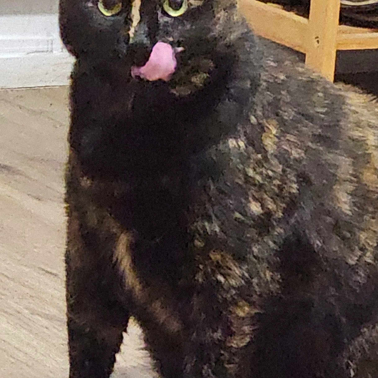 Taffy