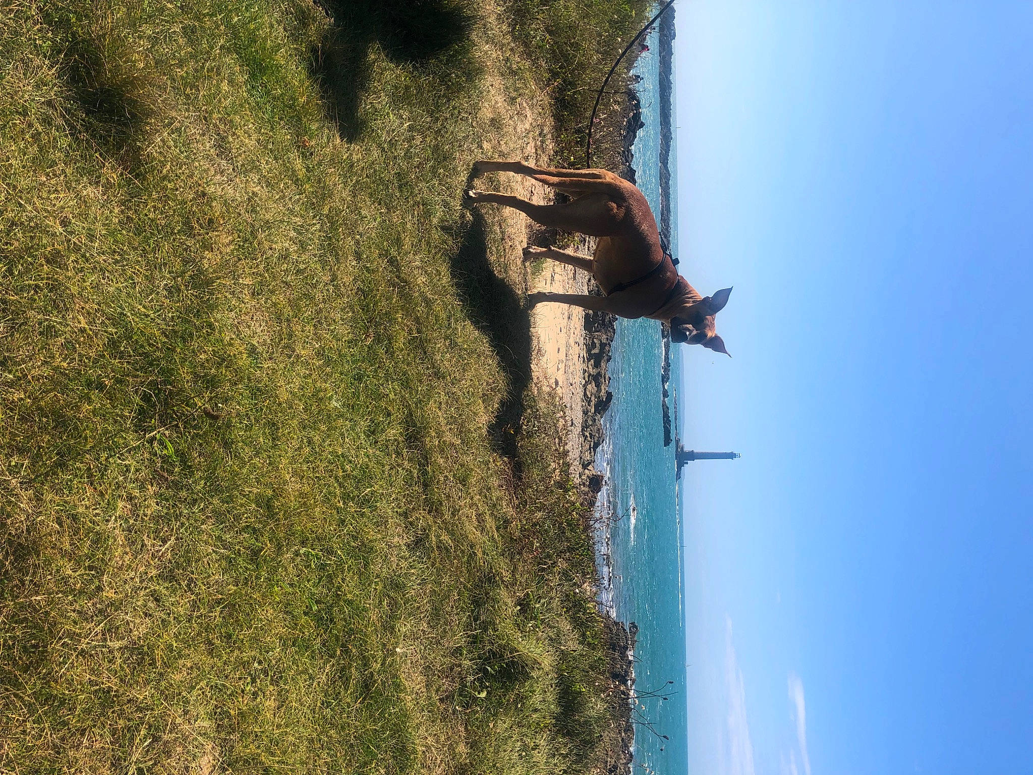 Vixy a rejoint le concours — aidez-le/la à gagner de superbes lots ! adventure, azure, blue, grass, landscape, people_in_nature, plant, plant_stem, recreation, rock, shadow, sky, slope, soil, sunlight, terrain, tree, trunk, water, wood