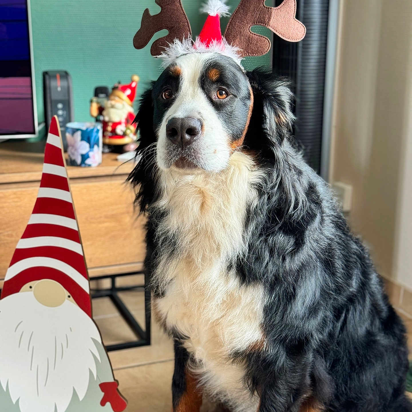 Romy Princess Ainhoa