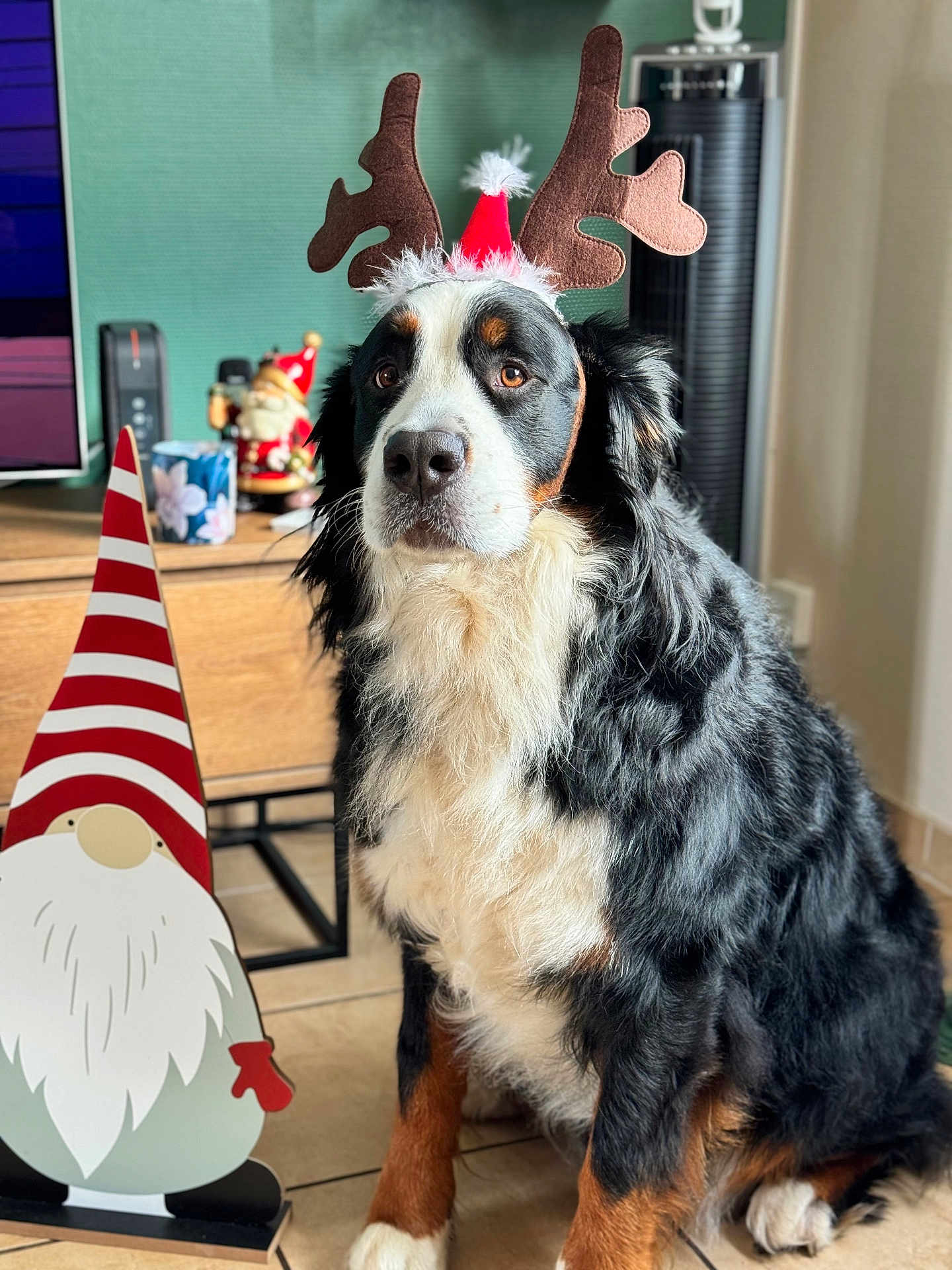 Romy Princess Ainhoa