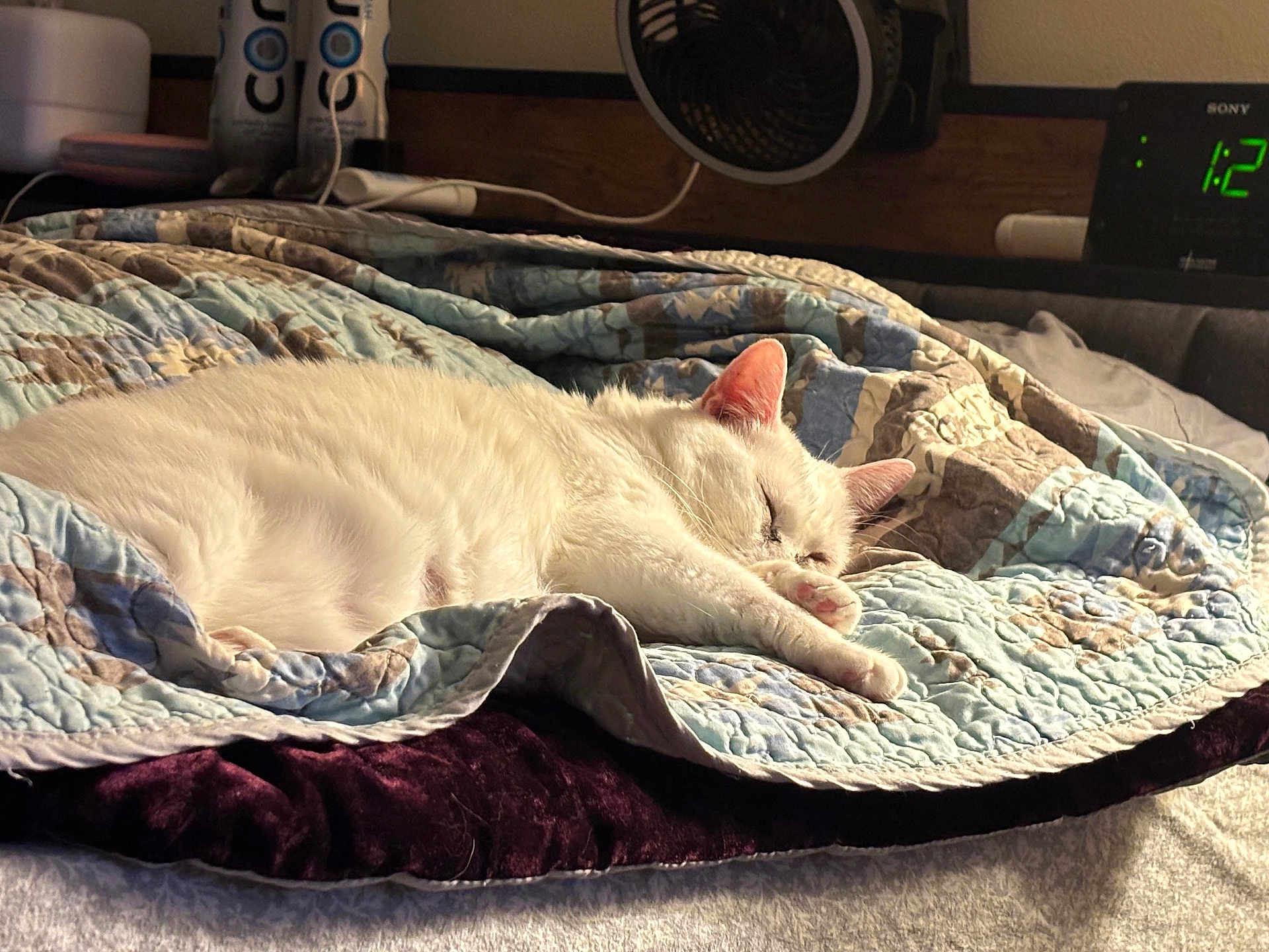 Luna