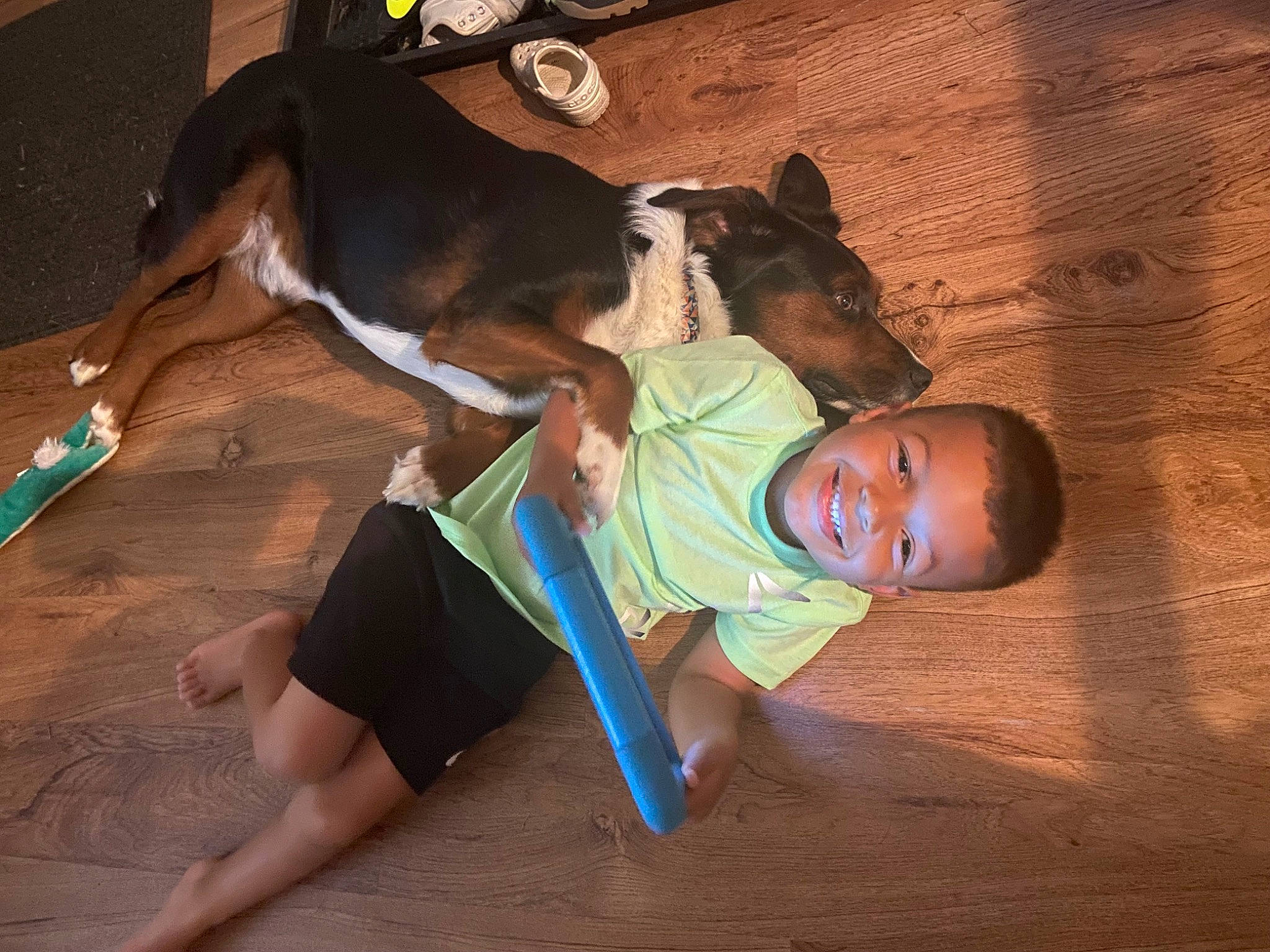 Emmitt joined the competition — help win amazing prizes! comfort, companion_dog, dog, dog_breed, elbow, fawn, floor, flooring, fun, happy, hardwood, head, joy, knee, leg, leisure, mammal, person, snout, thigh