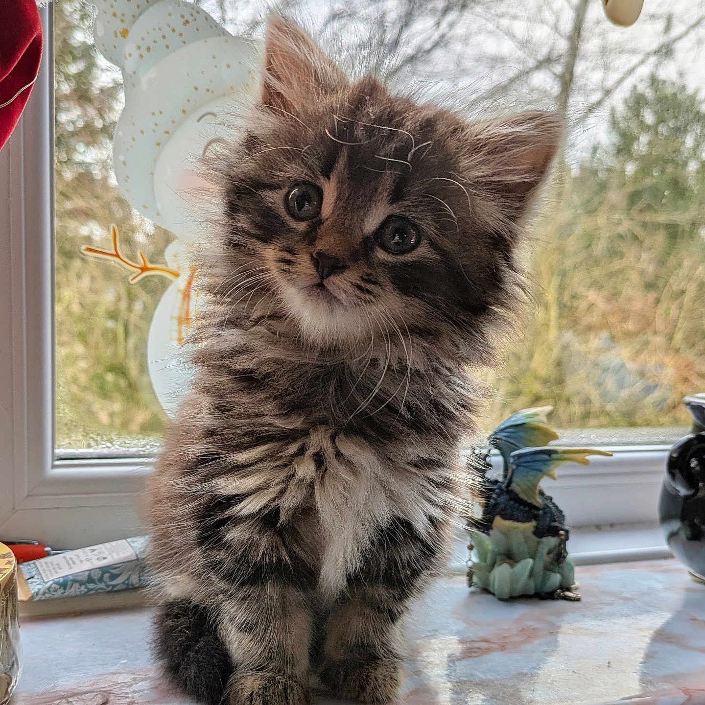 Willow joined the competition — help win amazing prizes! animal, cat, closeup, curious, cute, decor, dragon, feline, figurine, fluffy, indoor, kitten, pet, portrait, snowman, soft_fur, whiskers, window, windowsill, young