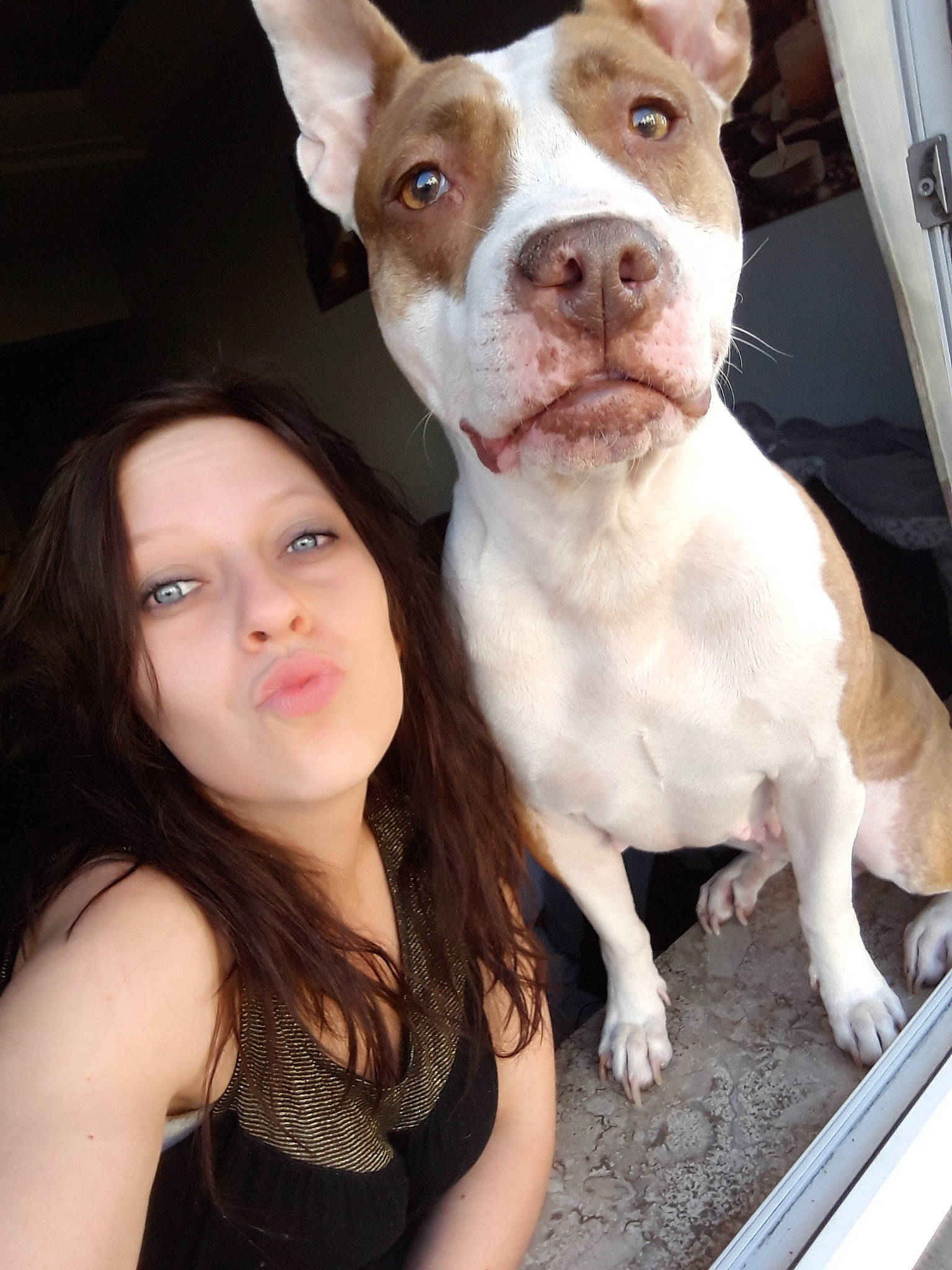 Keïra a rejoint le concours — aidez-le/la à gagner de superbes lots ! american_bulldog, american_pit_bull_terrier, american_staffordshire_terrier, canidae, carnivore, companion_dog, dog, dog_breed, ear, fawn, mammal, non_sporting_group, nose, person, pit_bull, puppy_love, rare_breed_dog, selfie, snout, sporting_group