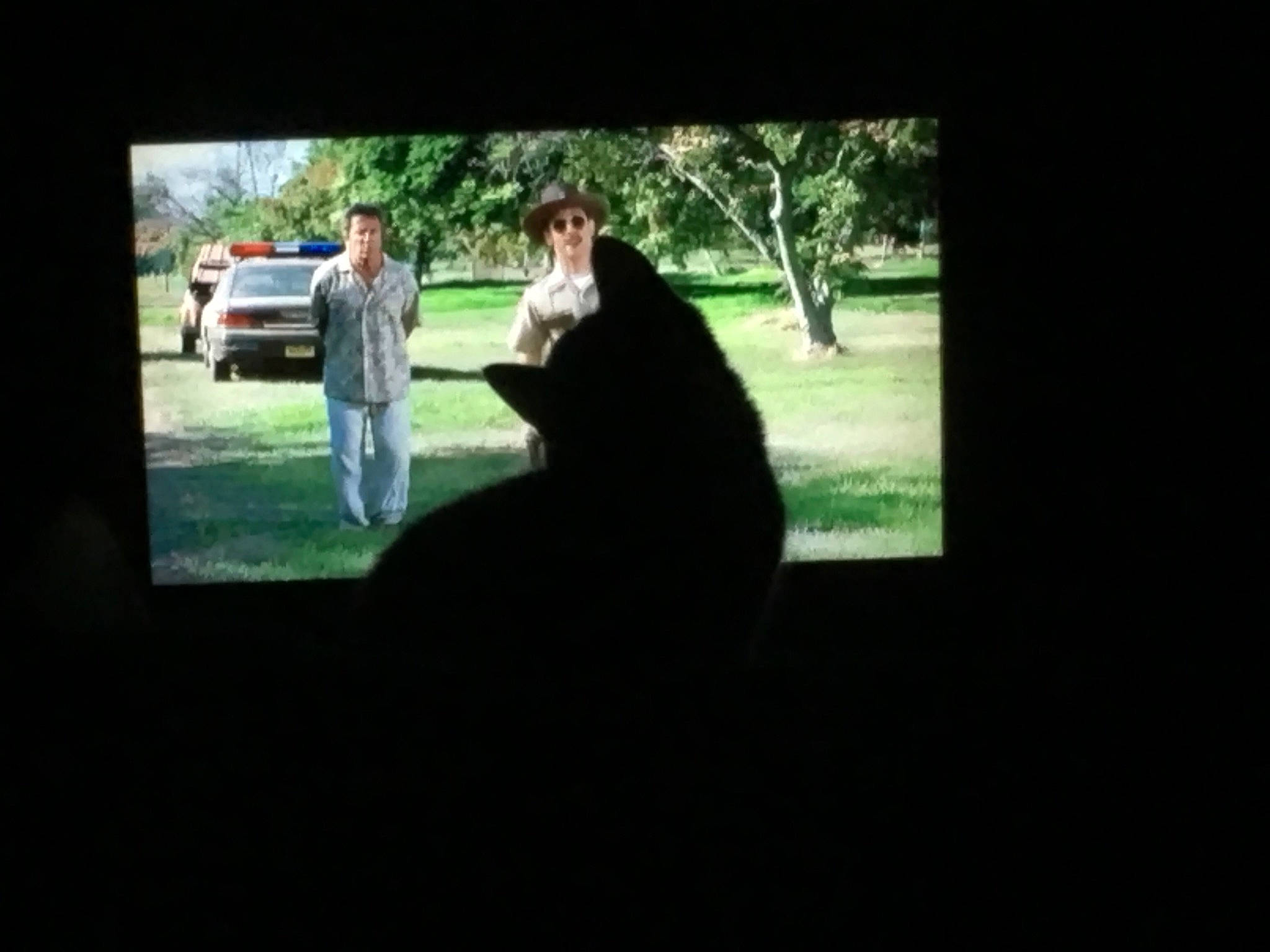 Princess Peach joined the competition — help win amazing prizes! black, canidae, carnivore, darkness, fun, grass, lawn, leaf, nature, photograph, photography, police_dog, snapshot, sporting_group, tree, window, woody_plant