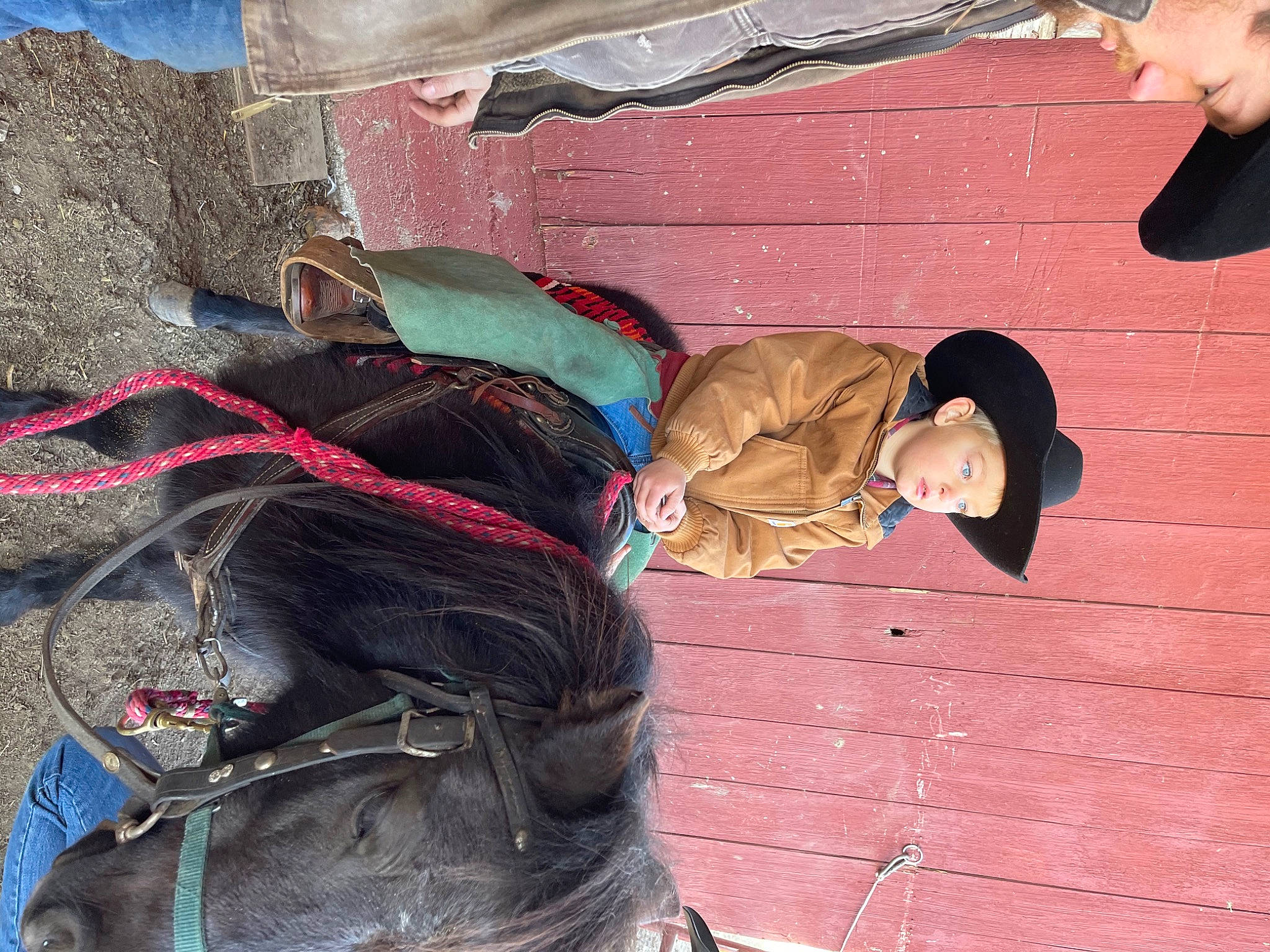 Ryett is registered to the contest to win money with this photo: bit, bridle, collar, halter, headwear, horse, horse_harness, horse_supplies, horse_tack, leash, liver, livestock, mane, mare, pack_animal, person, pet_supply, pony, rein, snout