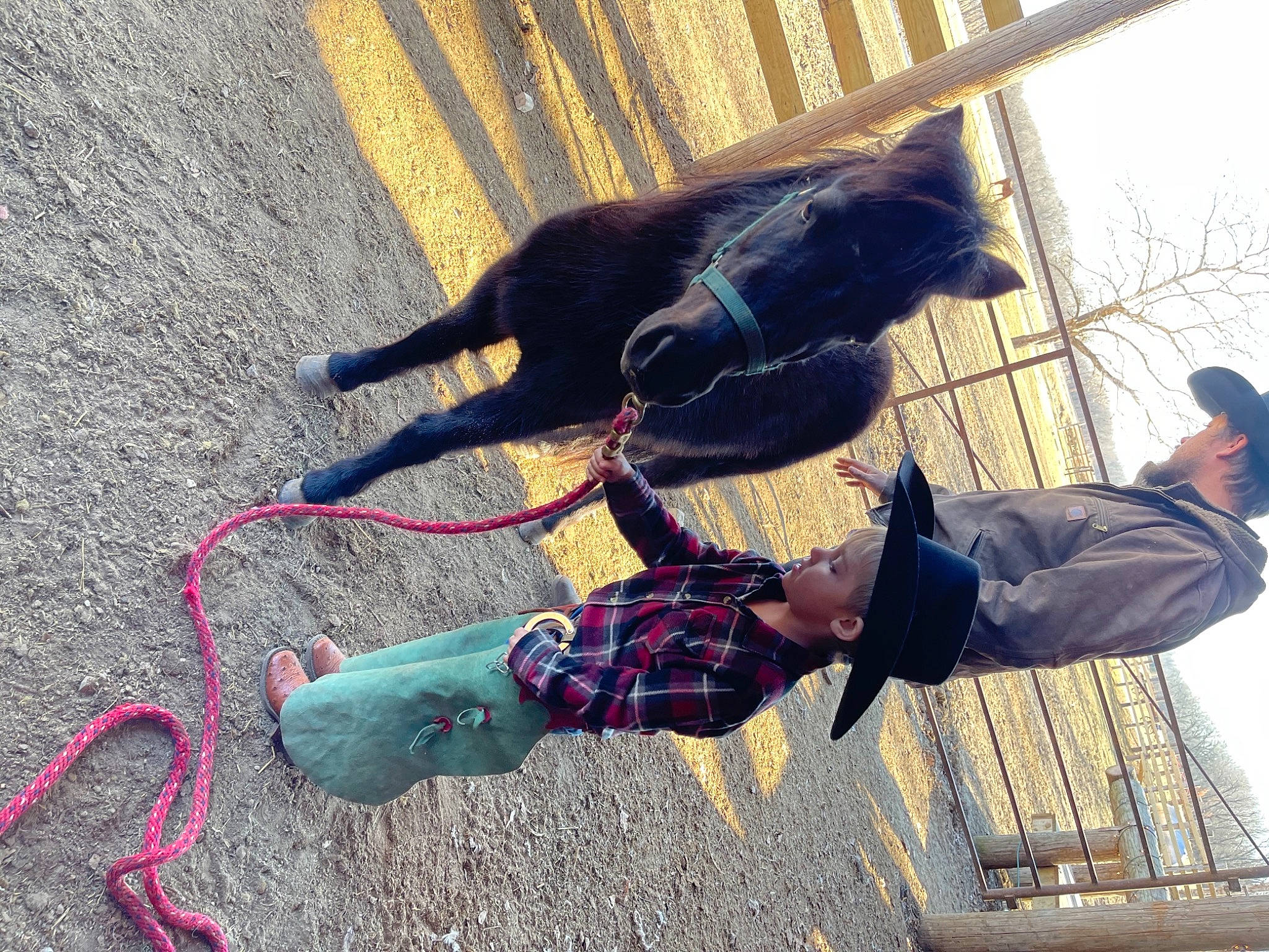 Ryett joined the competition — help win amazing prizes! carnivore, collar, dog_collar, fur, leash, person, pet_supply, plaid, shadow, tail, tartan, walking_shoe, working_animal