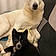 Athena Et Bandit