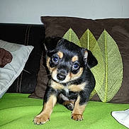 Jay'z participe au concours pour gagner de l'argent avec cette photo :