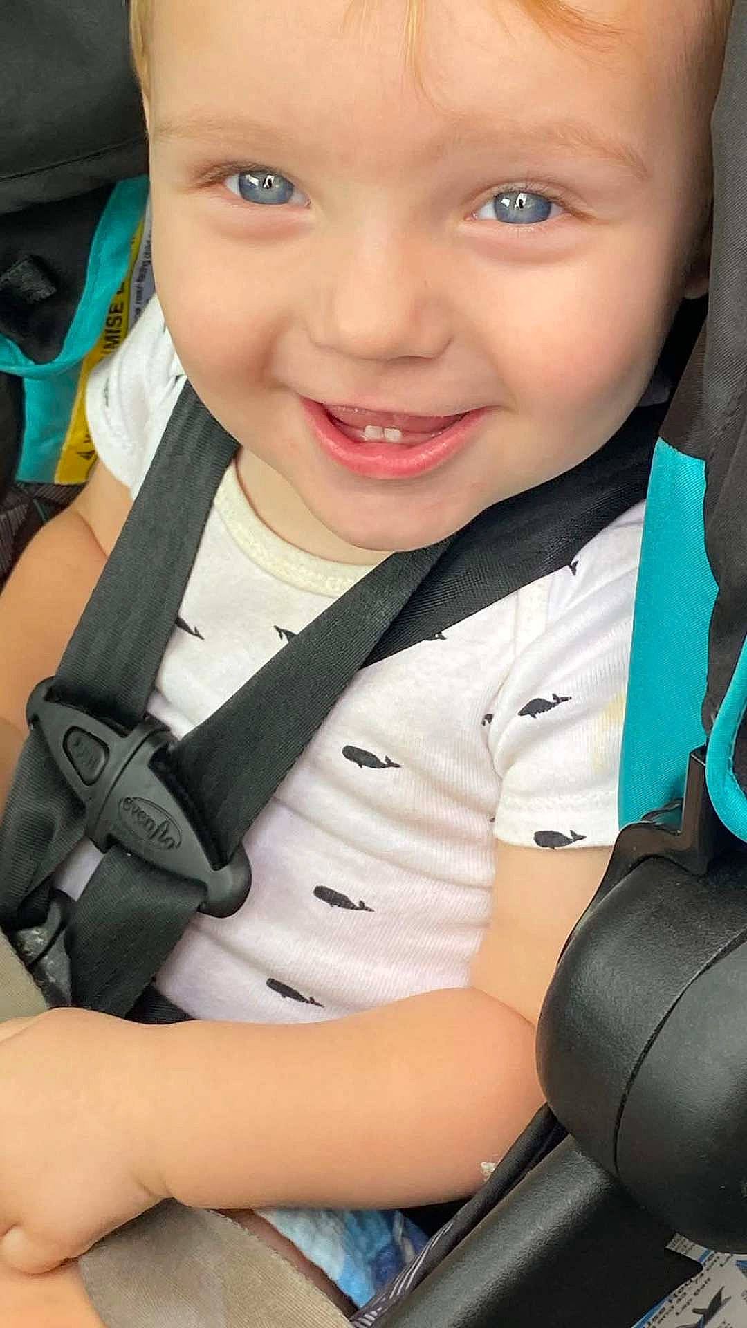 baby, blue_eyes, car_seat, child, close_up, face, happy, harness, indoor, infant, patterned_clothing, photograph, portrait, safe_travel, seatbelt, sitting, smiling, teeth, vehicle, white_shirt