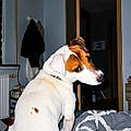 Lucie T.