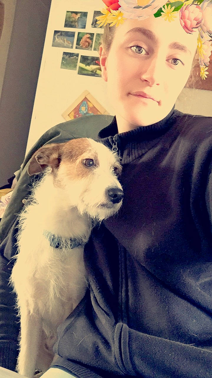 Oddy participe au concours pour gagner de l'argent avec cette photo : cool, dog, dog_breed, dog_like_mammal, ear, eye, girl, human, mammal, nose, person, puppy, puppy_love, skin, smile, snapshot, snout, vertebrate