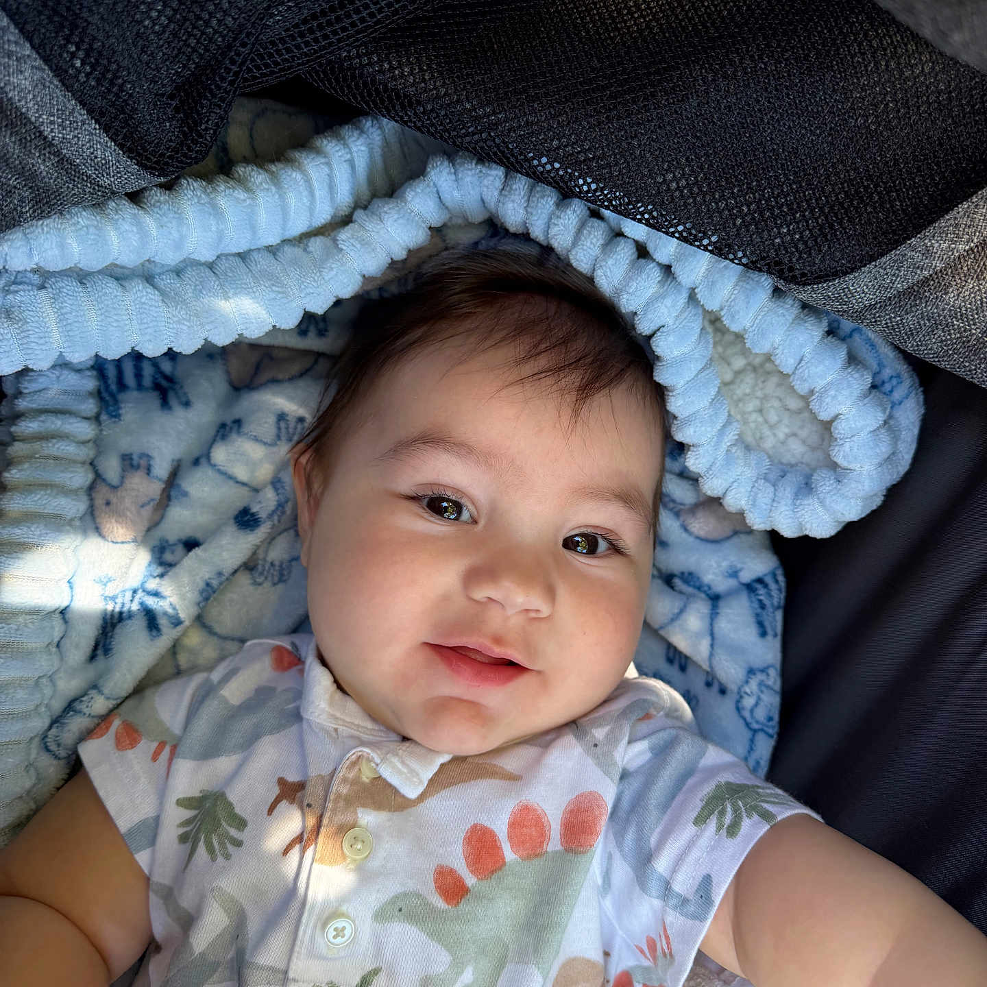 Nikko Lee is registered to the contest to win money with this photo: baby, child, smiling, dinosaur_shirt, blanket, patterned_blanket, cute, portrait, indoor, happy, infant, clothing, face, person, toddler, soft_texture, cozy, reaching_out, light_shadow, closeup