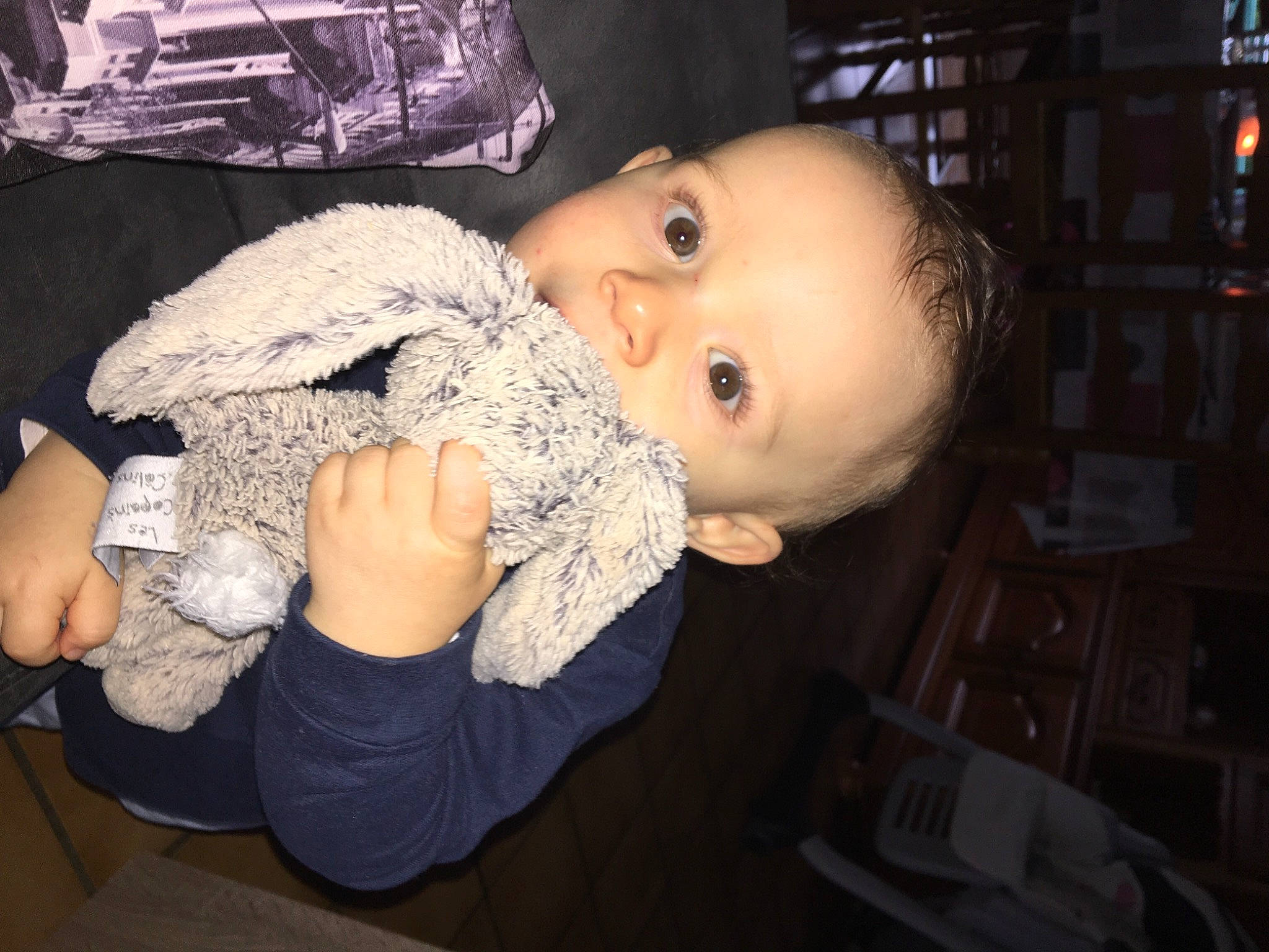 Ylann participe au concours pour gagner de l'argent avec cette photo : baby, baby_toddler_clothing, fur, person, plush, shelf, shelving, stuffed_toy, textile, toy, wool