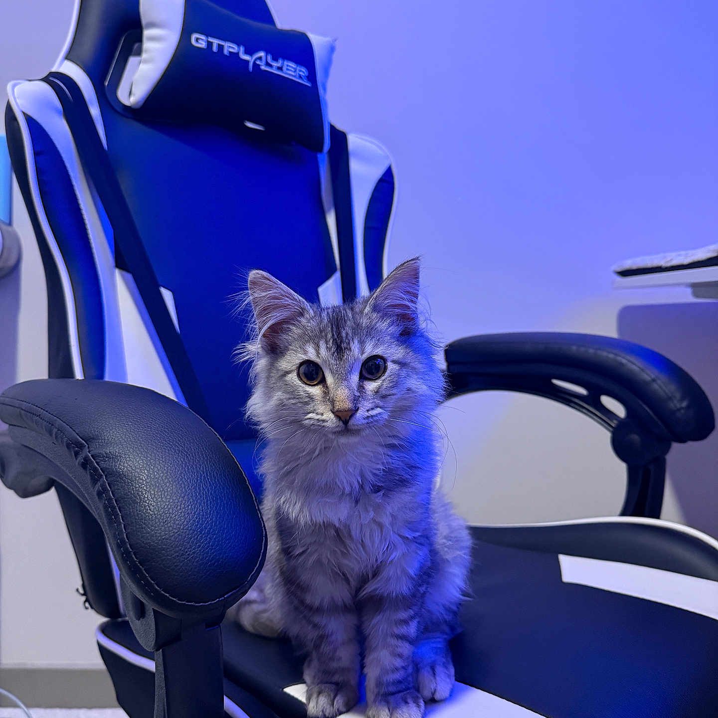 Astro