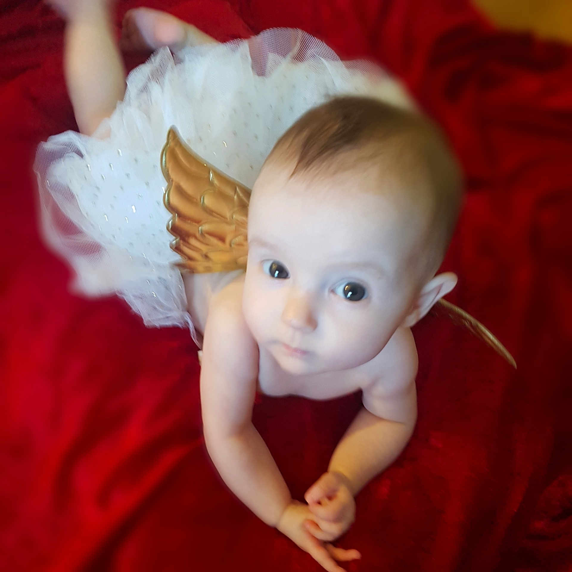 Catherine joined the competition — help win amazing prizes! angel, baby, cheek, child, cupid, doll, ear, eye, face, fictional_character, figurine, hand, head, iris, joint, lip, skin, toddler, toy