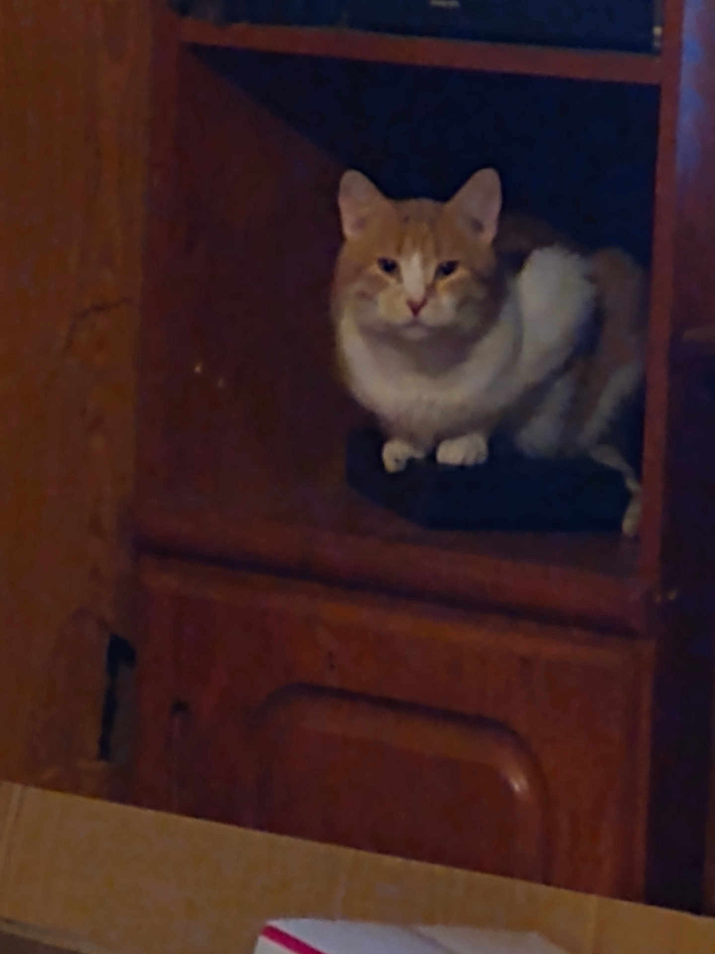 Peanut