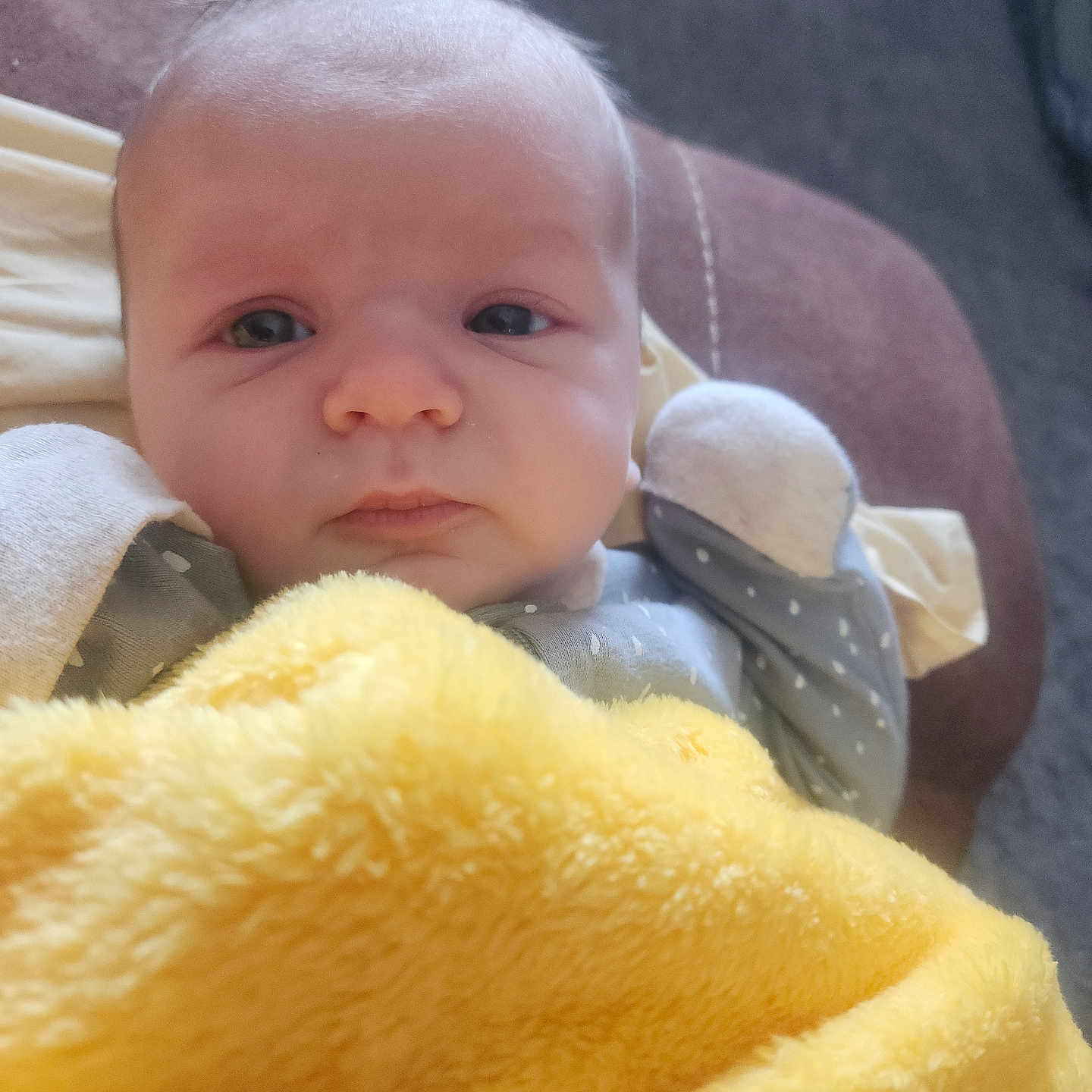 Creed is registered to the contest to win money with this photo: animal, baby, blanket, bonnet, cat, clothing, couch, cushion, face, furniture, hat, head, homedecor, newborn, person, pet, photography, portrait, quilt, towel