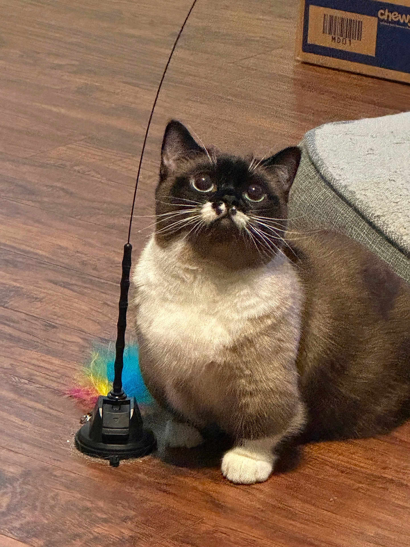 Kilala