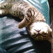 Cerise participe au concours pour gagner de l'argent avec cette photo :