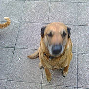 Cerise a rejoint le concours — aidez-le/la à gagner de superbes lots !