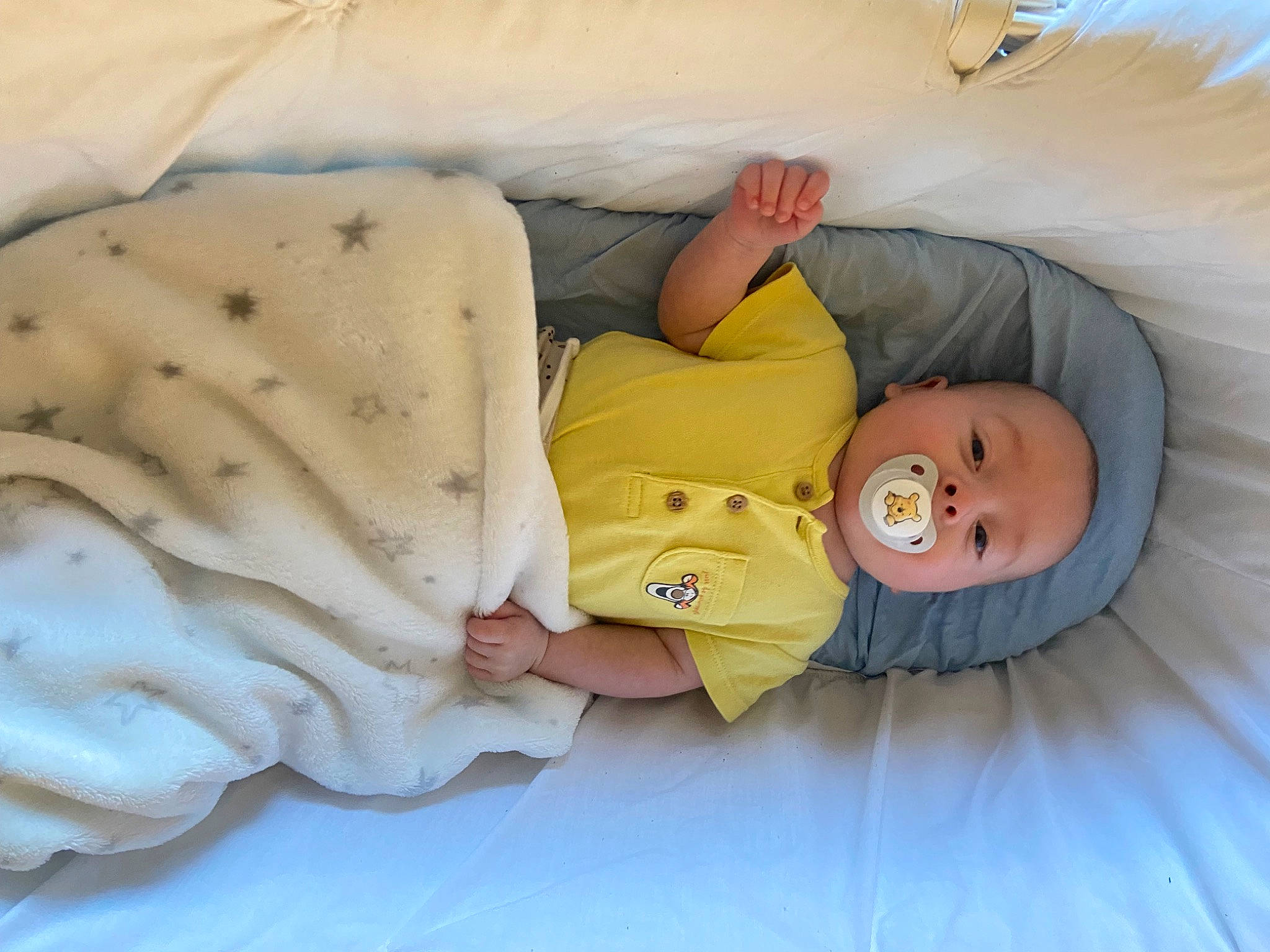 Archie joined the competition — help win amazing prizes! baby, baby_products, baby_safety, baby_sleeping, bed, bed_sheet, bedding, bedtime, child, comfort, doll, fur, linens, nap, person, plush, room, skin, stuffed_toy, toy