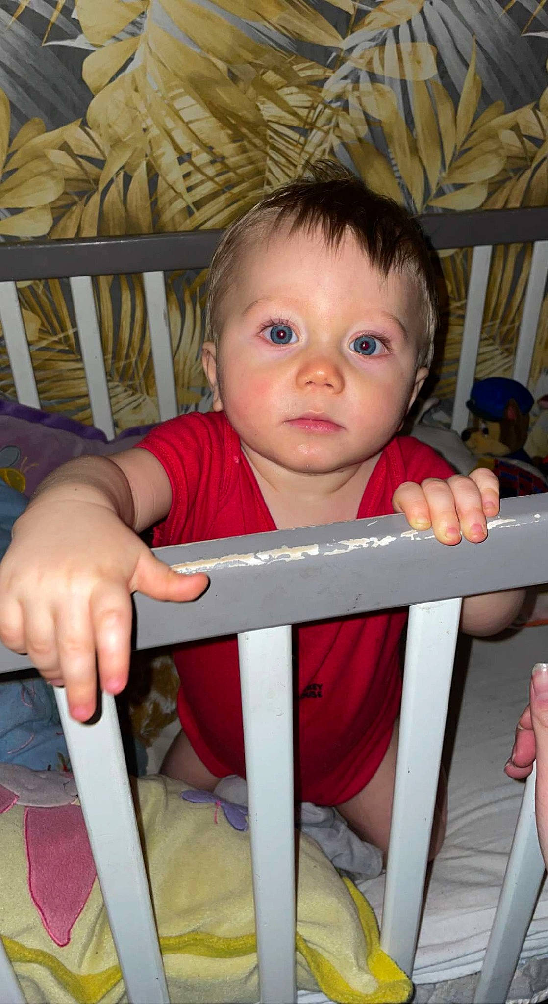 Kaydenn participe au concours pour gagner de l'argent avec cette photo : baby, baby_safety, baby_toddler_clothing, cheek, child, chin, comfort, eye, finger, happy, infant_bed, iris, mouth, nose, person, sitting, skin, sleeve, thumb, toddler