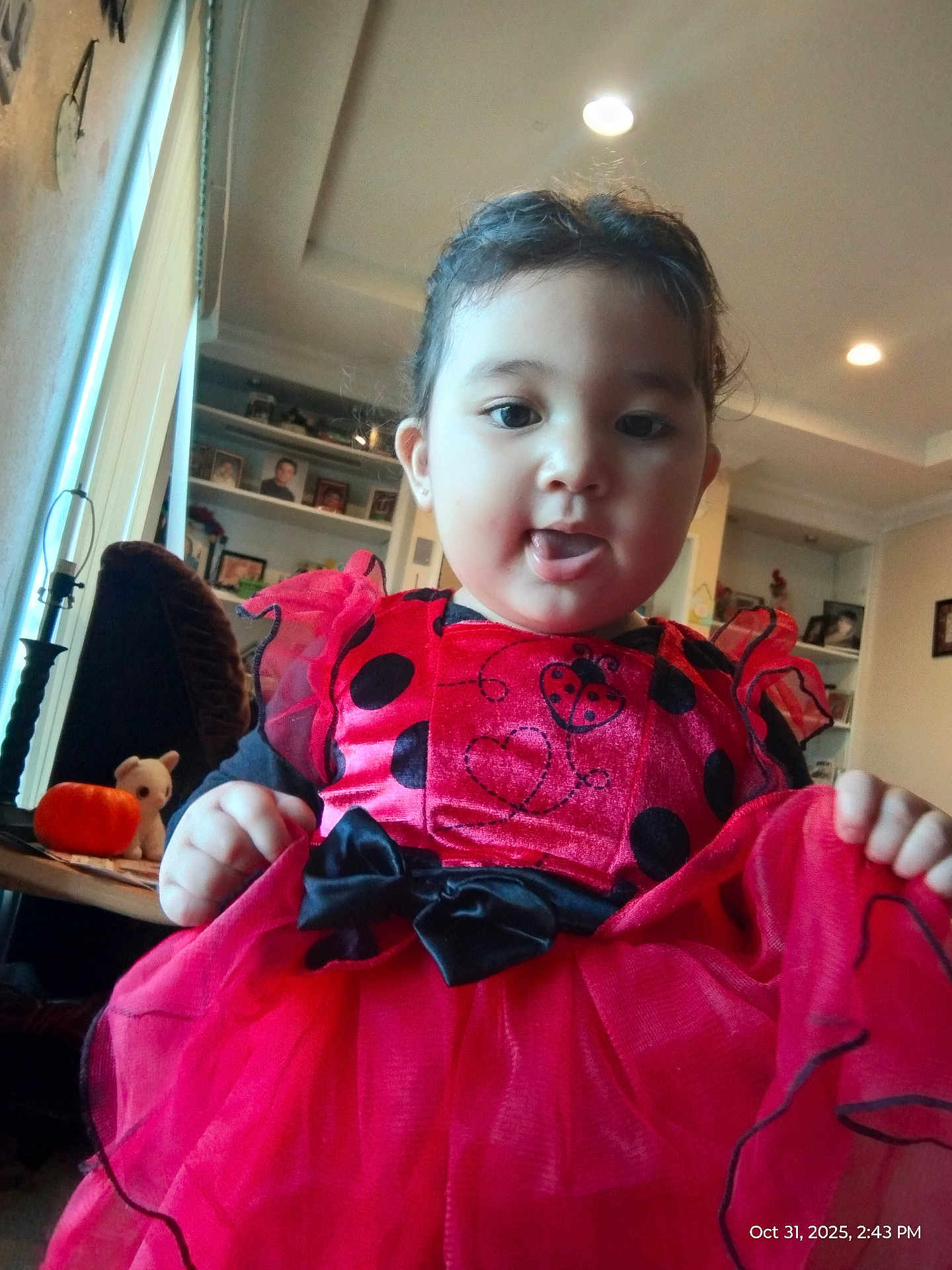 Natalia Segura is registered to the contest to win money with this photo: toddler, child, costume, ladybug, red_dress, black_polka_dots, indoor, home, table, pumpkin, plush_toy, curtains, light, ceiling, smiling, cute, clothing, person, portrait, playful