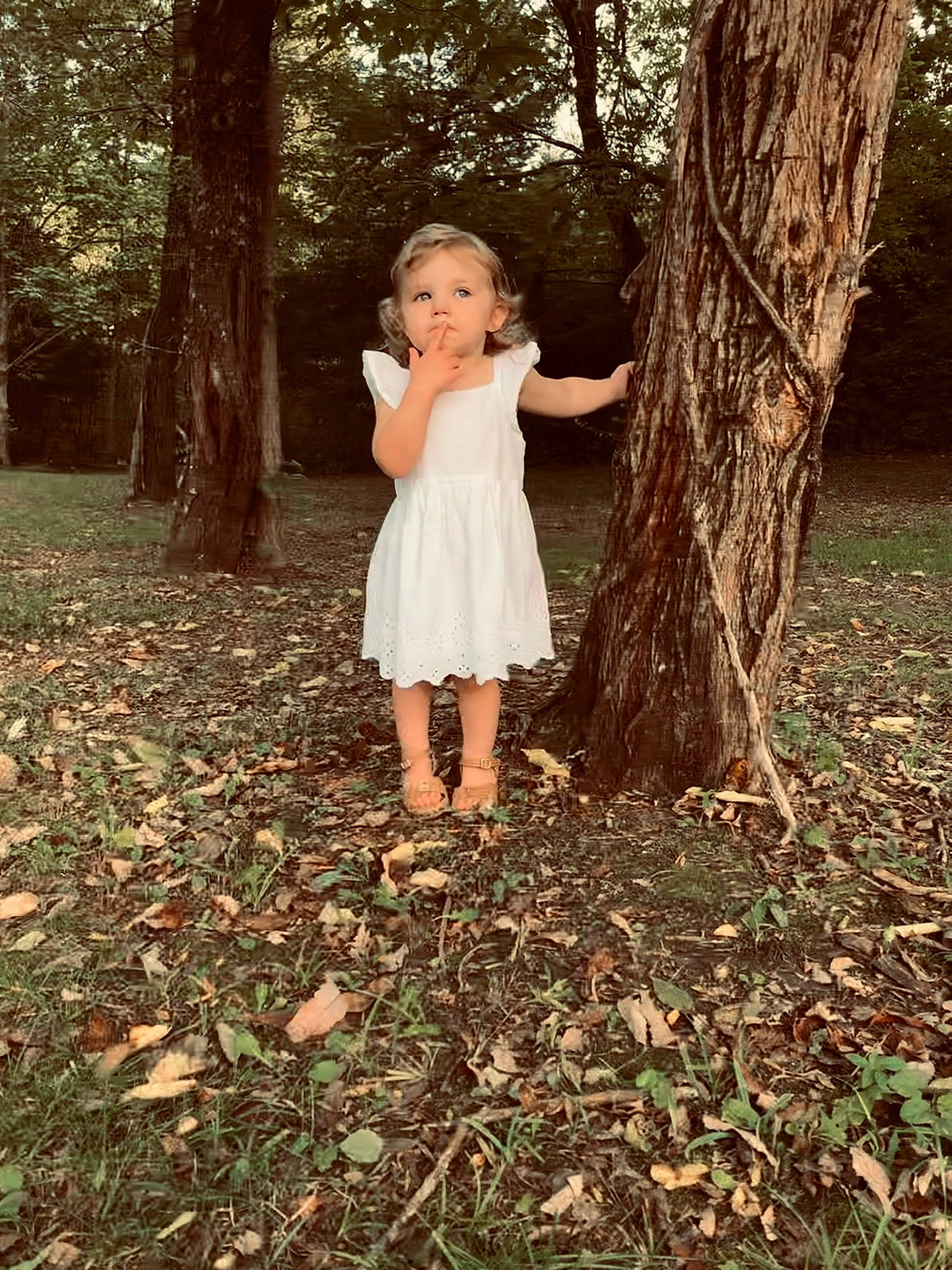 Matilda is registered to the contest to win money with this photo: autumn, baby, baby_toddler_clothing, child, child_model, day_dress, deciduous, dress, one_piece_garment, pattern, people_in_nature, person, photo_shoot, portrait_photography, spring, toddler, trunk, woodland