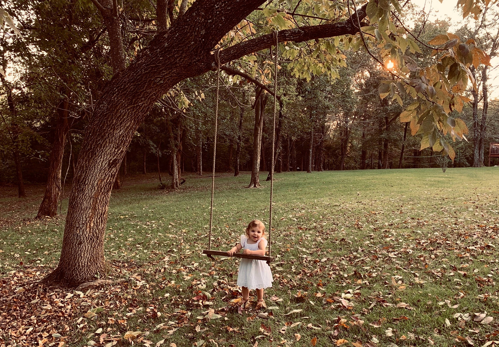 Matilda is registered to the contest to win money with this photo: autumn, deciduous, grove, joy, leaf, park, people_in_nature, person, spring, sunlight, tree, trunk, woodland
