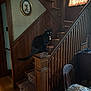 Freddie Mercury joined the competition — help win amazing prizes! black_cat, cat, stairs, wooden_stairs, newel_post, carpeted_stairs, wood_paneling, framed_picture, chair, cushion, wood_floor, indoors, pet, animal, furniture, window_curtains, vintage, domestic_cat, quiet, dim_lighting