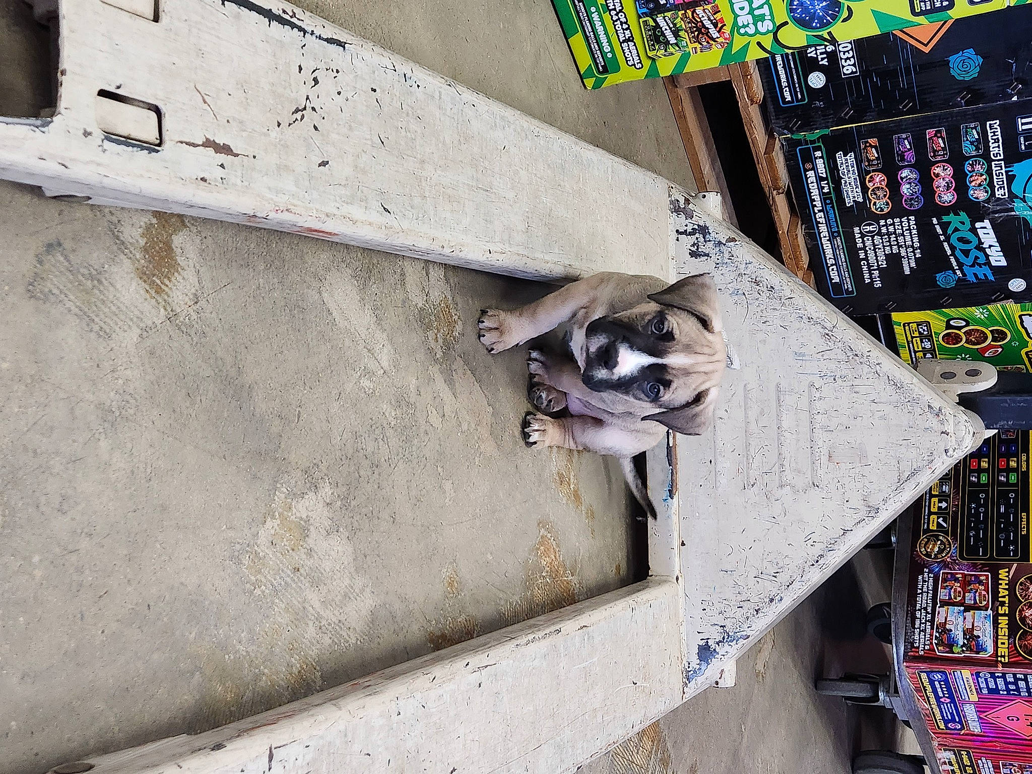 Trump Jr is registered to the contest to win money with this photo: art, building, cement, composite_material, concrete, facade, handrail, house, metal, room, stairs, street, visual_arts, wall, wood