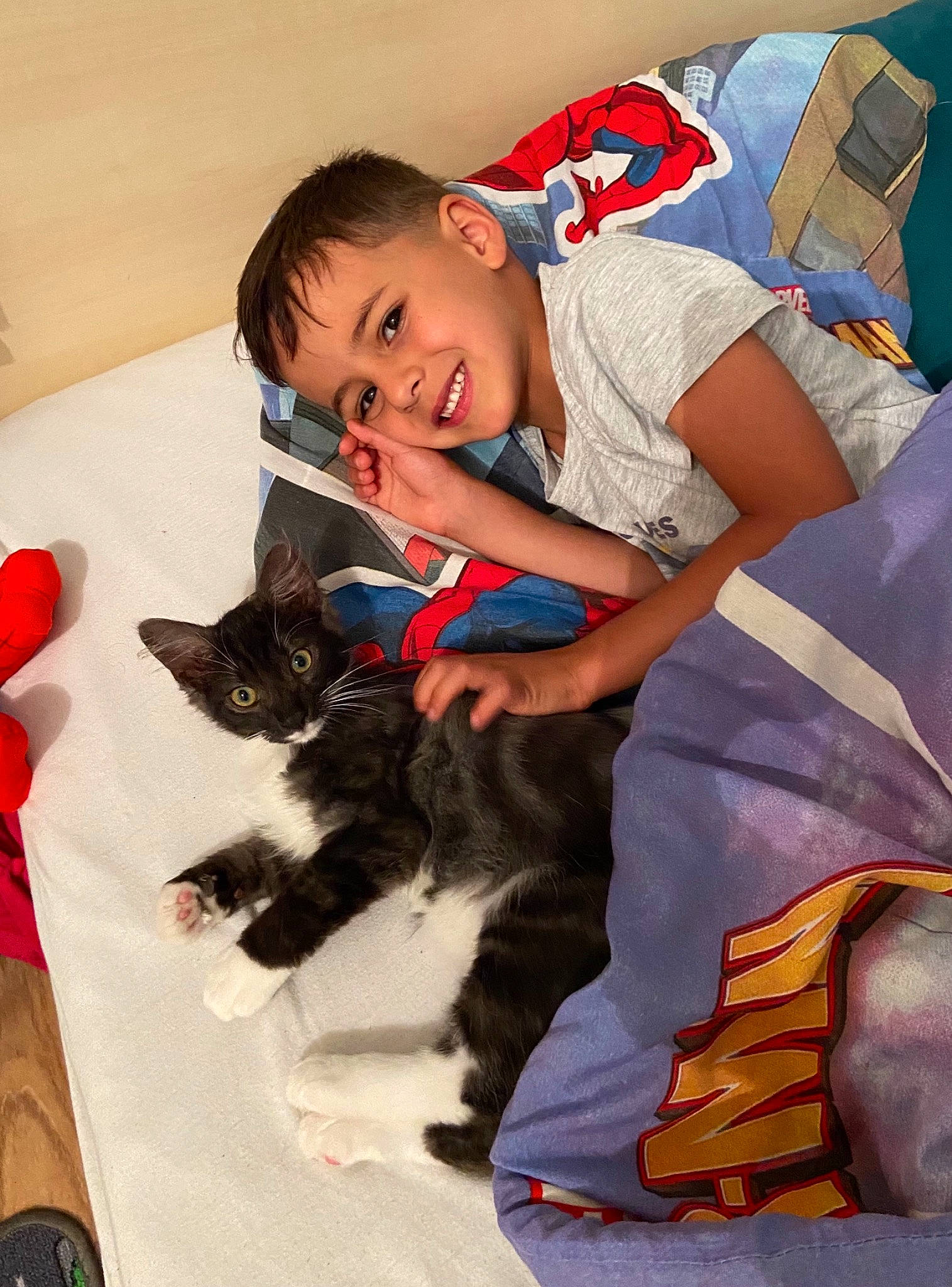 Yazid participe au concours pour gagner de l'argent avec cette photo : baby_toddler_clothing, carnivore, cat, child, comfort, companion_dog, dog_breed, electric_blue, event, felidae, fun, fur, happy, joy, lap, person, sitting, sleeve, small_to_medium_sized_cats, smile